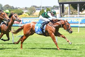 CLOSER TO FREE ROCKETS INTO DIAMOND CONTENTION